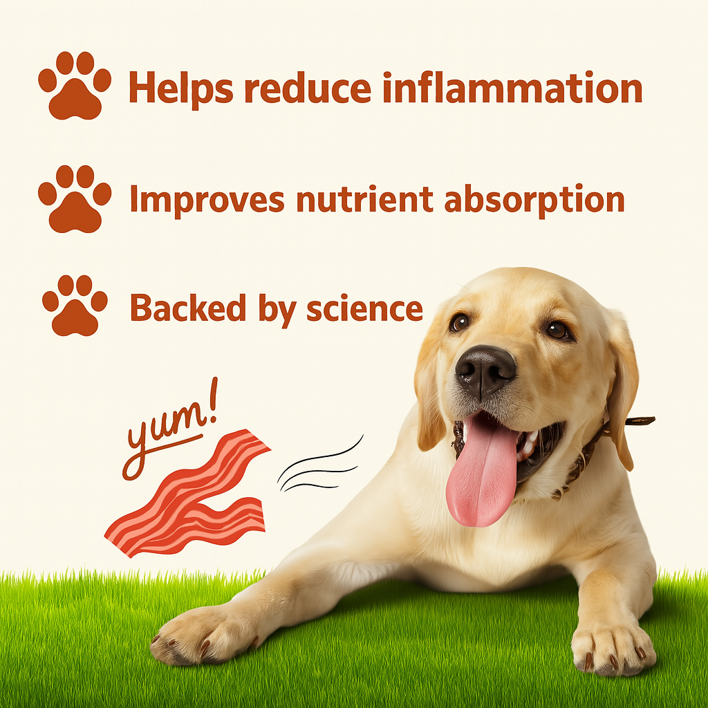 Kolara PawBiotics+