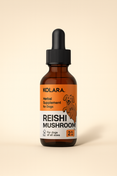 Kolara Reishi Mushroom